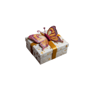 butterfly-gift-box